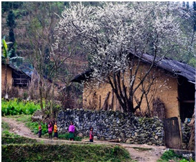 Hà Giang – Đồng Văn – Lũng Cú